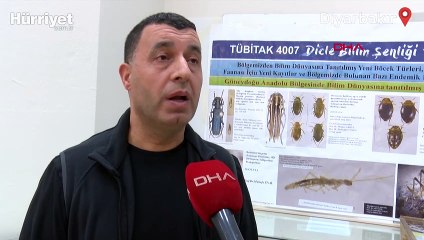 Diyarbakır’da yeni bir böcek cinsi ortaya çıktı