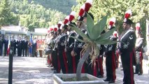 Palermo, albero distrugge tomba ai Rotoli: 