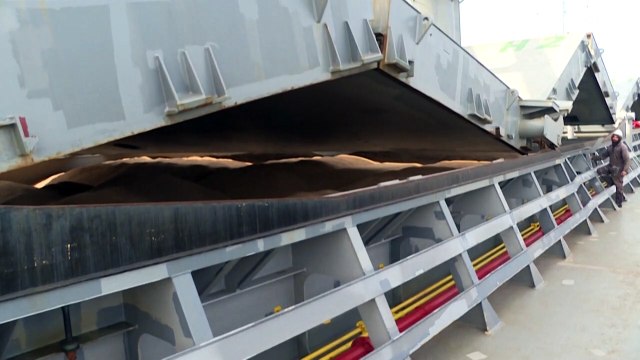 Россия вновь открывает зерновой коридор по Чёрному морю, получив гарантии от Украины