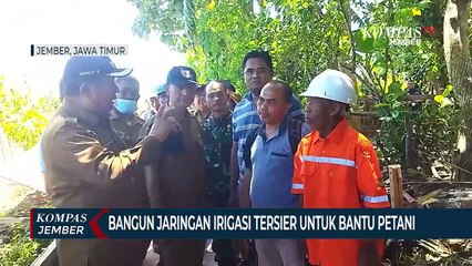 Télécharger la video: Bupati Hendy Permudah Akses Petani Jember dengan JIT dan JUT