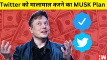 Blue Tick के लिए 660 Rupees Twitter मालिक Elon Musk बोले- शिकायत करते रहो, पैसे तो देने होंगे