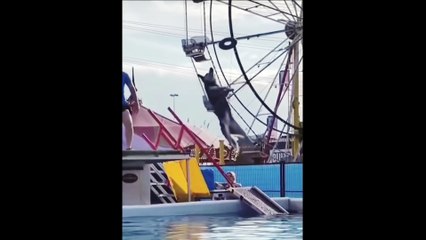 UNUSUAL MEMES COMPILATION 10