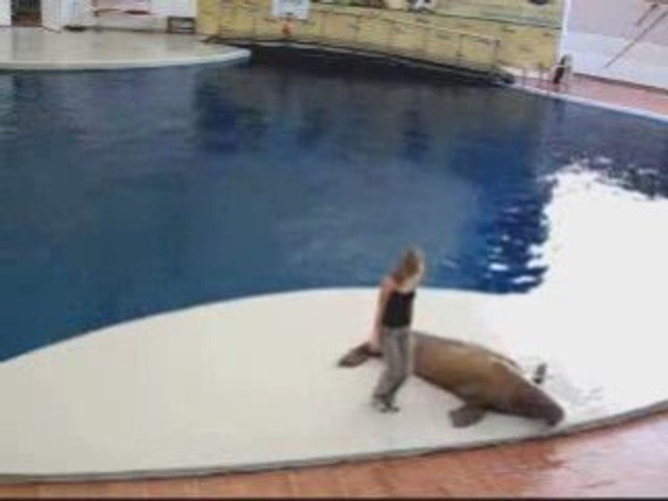 Funny Michael Jackson animal