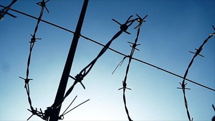 Polen baut Grenzzaun zu Russland-Exklave