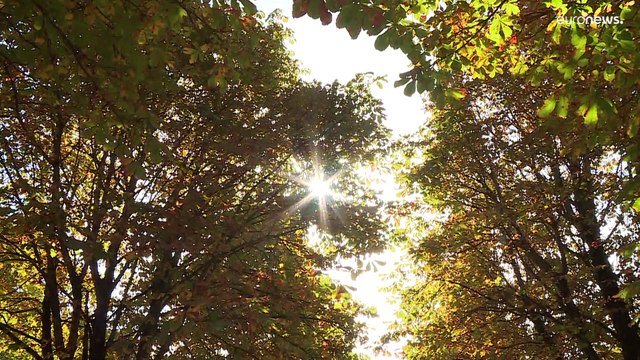 Climat : l'Europe se réchauffe plus vite que la planète selon l'ONU