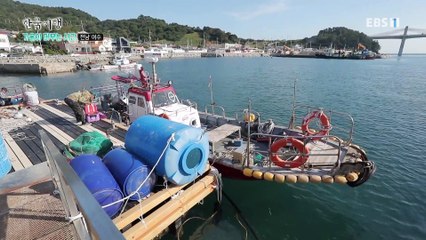 한국기행 - Korea travel_가을이 머무는 시간 3부- 금오도 그 사나이_#001