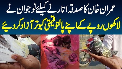 Imran Khan Ka Sadqa Utarne K Lie Naujawan Ne Lakhon Rupees K Apne Paltu Qeemti Pigeons Azad Kar Die