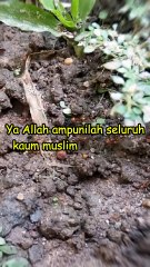 Doa Pendek Dengan Pahala Milyaran