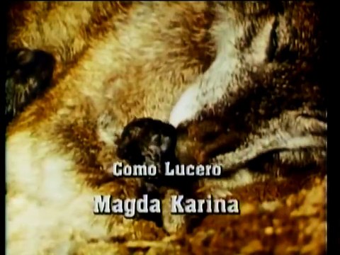 Ambição Capitulo 70 Dublado Ultimas Semanas