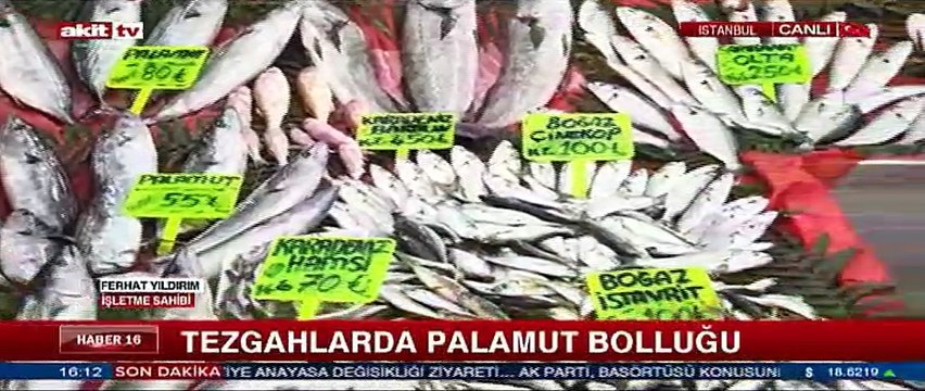 Tezgahlarda palamut bolluğu