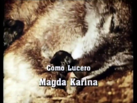 Ambição Capitulo 73 Dublado Ultimas Semanas