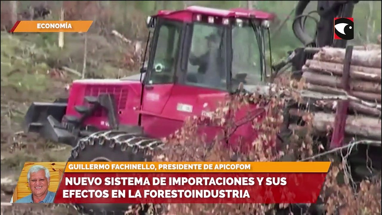Nuevo sistema de importaciones y sus efectos en la forestoindustria