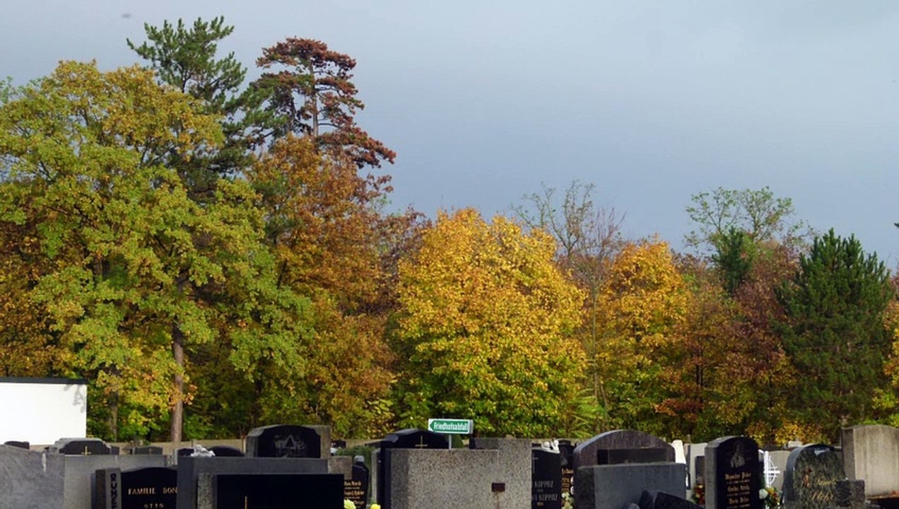 Gemeinsames Totengedenken 2022  Waldfriedhof  Strasshof