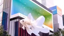 裸視3D技術