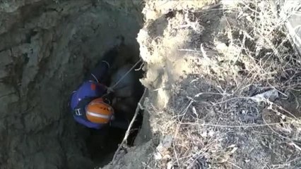 ELAZIĞ -10 metrelik su kuyusuna düşen keçi kurtarıldı