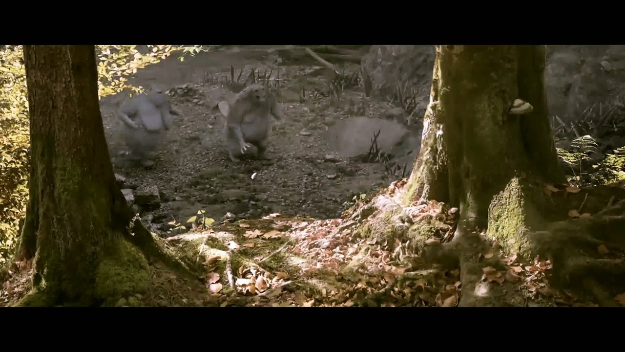 The A Fox and the A Bird heart touching story/ एक लोमड़ी और एक पक्षी की दिल को छू लेने वाली कहानी