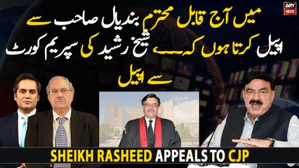 Sheikh Rasheed's appeal to the Supreme Court