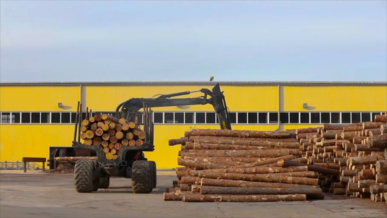 Energiekrise: "Holz ist das neue Toilettenpapier"