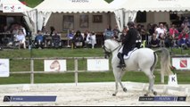 Grand National FFE - AC Print - Dressage | Mâcon (FRA) | Pierre VOLLA | SILVERMOONS MARIECHEN