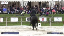 Grand National FFE - AC Print - Dressage | Mâcon (FRA) | Corentin POTTIER | GOTILAS DU FEUILLARD