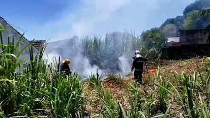 Equipes do Corpo de Bombeiros são acionadas para combaterem incêndio que se aproximava de residências
