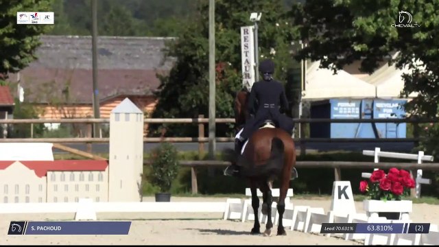 Grand National FFE - AC Print - Dressage | Cluny (FRA) | Severine PACHOUD | DESPERADO