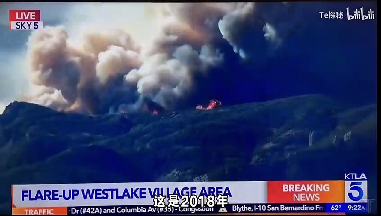 What are the strange creatures that grow on the chair? 5 unbelievable