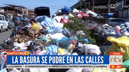 La basura rebalsa los contenedores de Santa Cruz mientras se pudre en las calles