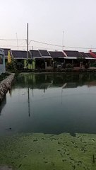 Spot Mancing Ikan Nila