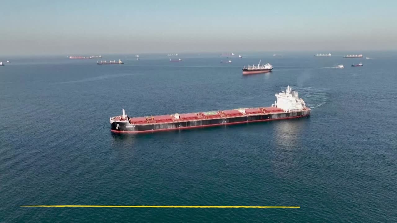 Rusia y Turquía acuerdan reactivar el trafico del grano en el Mar Negro