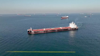 Rusia y Turquía acuerdan reactivar el trafico del grano en el Mar Negro