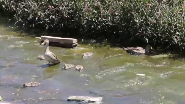 Santiago de Chile recupera uno de sus ríos urbanos tras diez años de trabajo