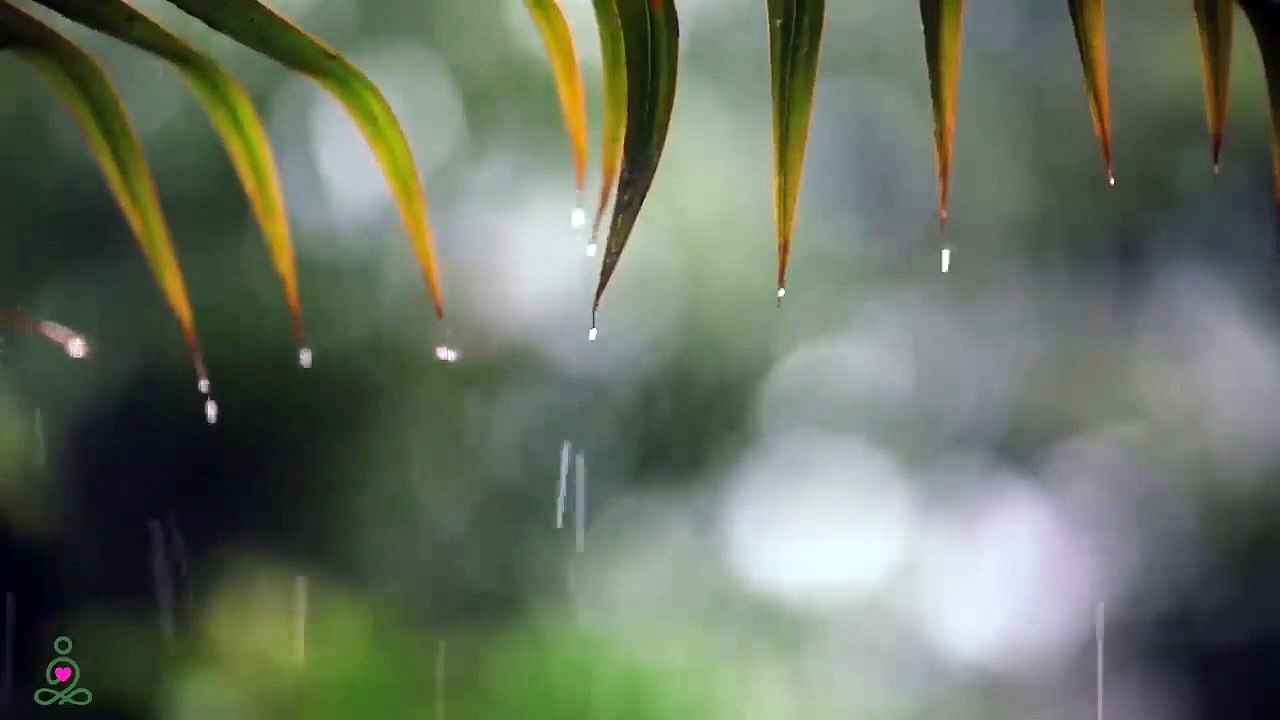 Musique relaxante et doux sons de pluie : musique de piano relaxante, musique de sommeil