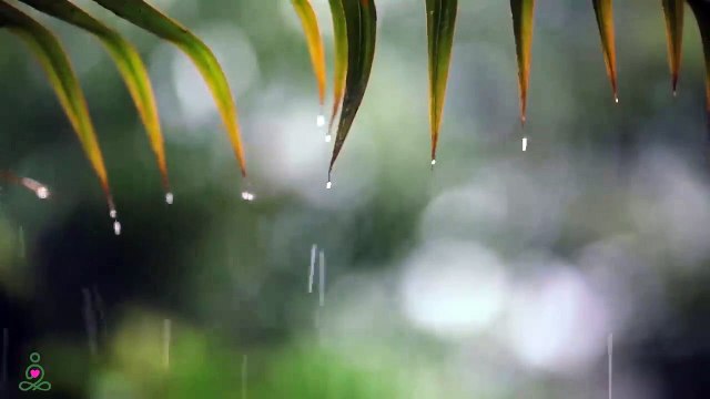 Musique relaxante et doux sons de pluie : musique de piano relaxante, musique de sommeil