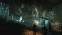 The Elder Scrolls Online : Firesong - Bande-annonce de gameplay