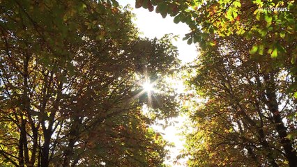 Kein Kontinent hat sich schneller erwärmt als Europa, das sagt der Klimabericht