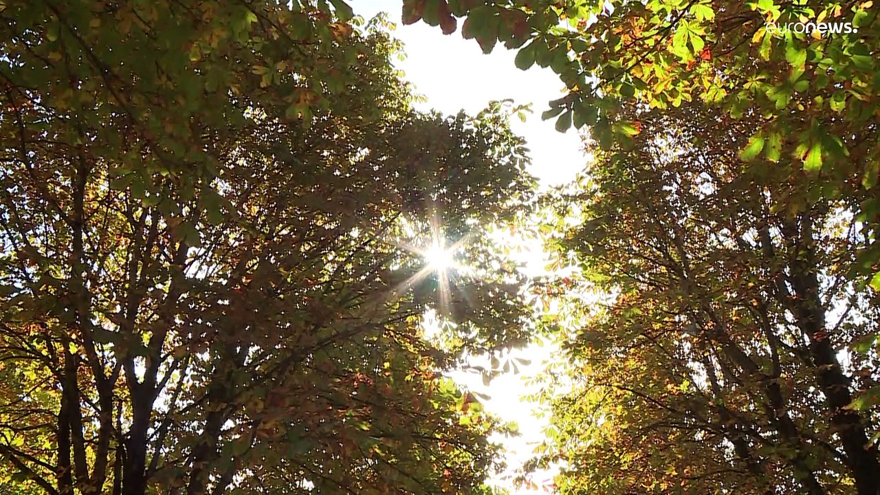 Kein Kontinent hat sich schneller erwärmt als Europa, das sagt der Klimabericht