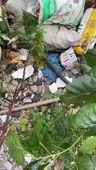 Asmr cara membersihkan jam tangan clasik