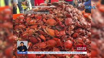 Kauna-unahang crab festival, ipinagdiwang sa bayan ng Buguey | UB