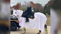 Lake County sheriff defends ‘ghost costume’ for horses criticised for KKK similarity