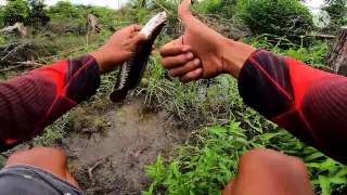 Mancing ikan di hutan gudul yang belum di casting Umpan Karet jadi rebutan ikan
