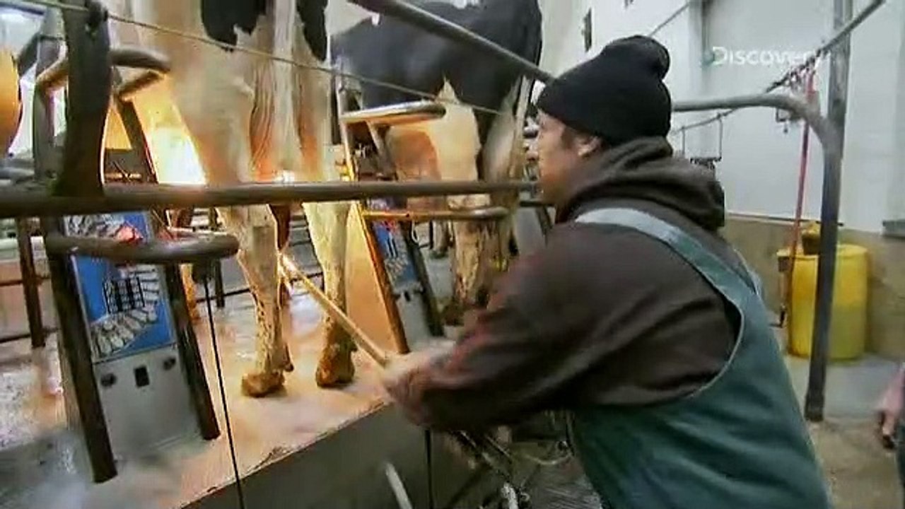 Dirty Jobs - Arbeit, die keiner machen will Staffel 3 Folge 10 HD Deutsch