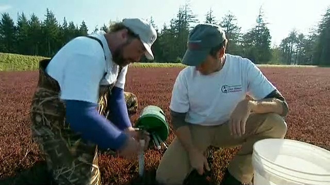 Dirty Jobs - Arbeit, die keiner machen will Staffel 3 Folge 4 HD Deutsch