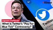Elon Musk To Reform Twitter Verification Rules; What Is “Pay For Blue Tick” Controversy?