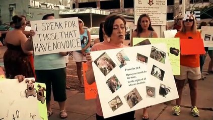 Deep Undercover Staffel 1 Folge 28 HD Deutsch