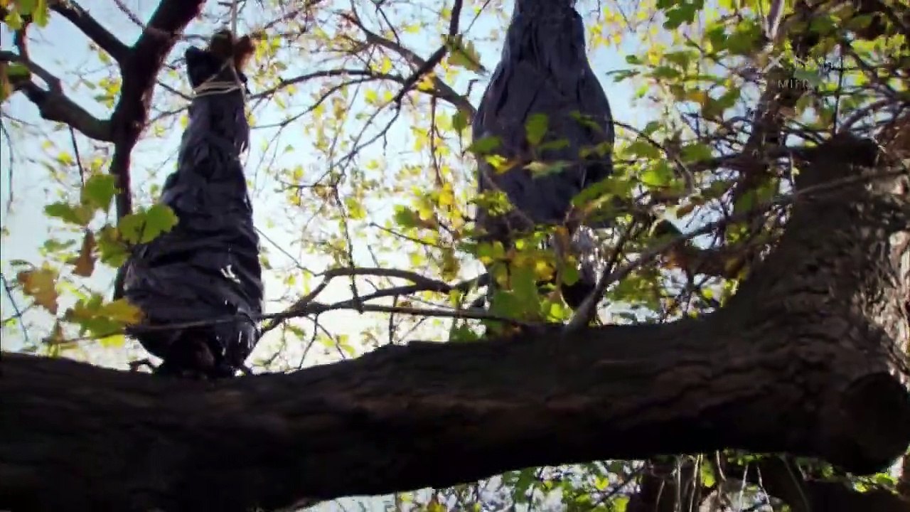 Rush (AUS) Staffel 2 Folge 15 HD Deutsch