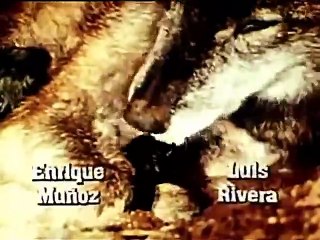 Ambição Capitulo 79 Dublado.Ultimos Capitulos