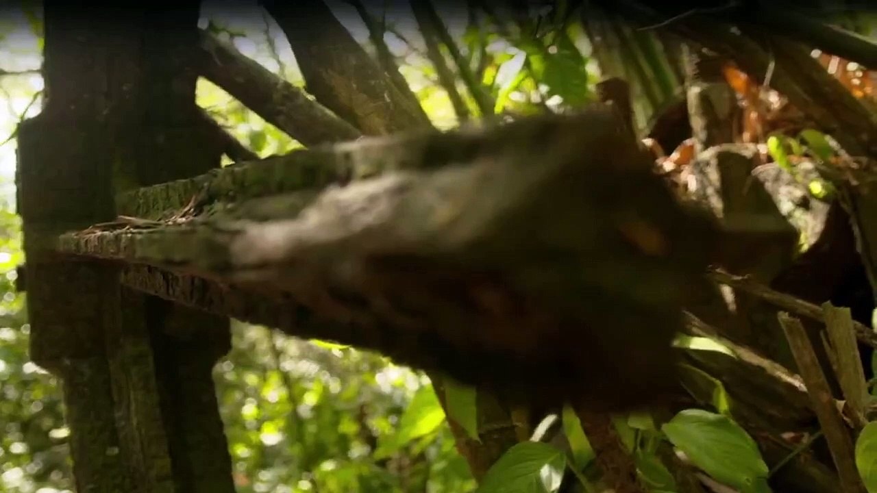 Enslaved - Auf den Spuren des Sklavenhandels Staffel 1 Folge 3 HD Deutsch