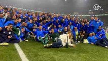 Jogadores do Palmeiras fazem a festa no campo do Allianz pelo 11º título do Brasileirão