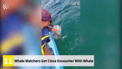 15 insane sea moments - The water may be a SCARED place!